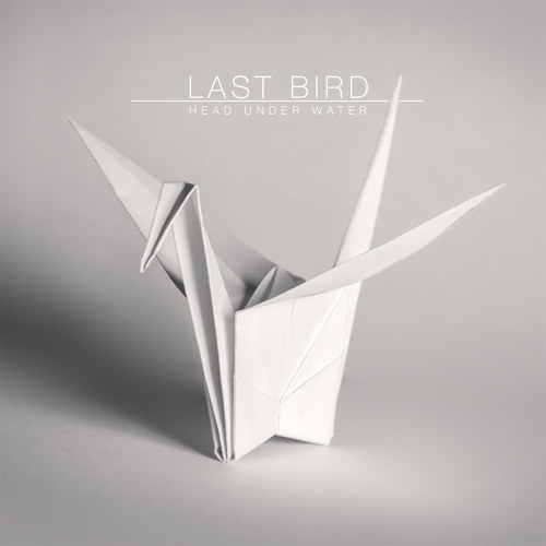 LastBird_Head